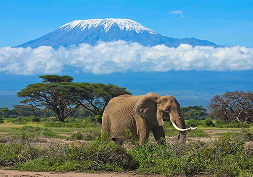 8-days-masai-mara-lake-nakuru-serengeti-ngorongoro-crater-safari-package