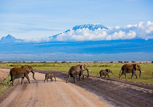 9-days-amboseli-serengeti-lake-manyara-ngorongoro-safari-package
