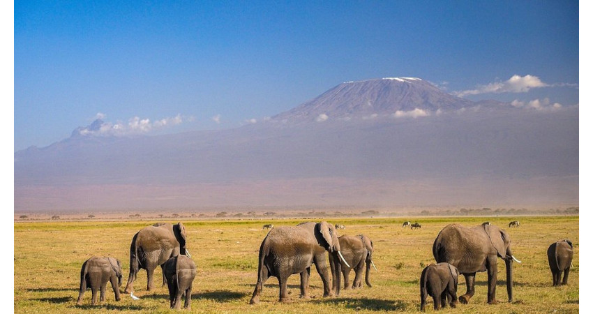 3 days Amboseli Safaris