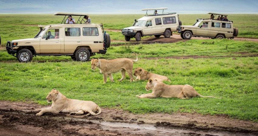 3 days masai mara camping safaris